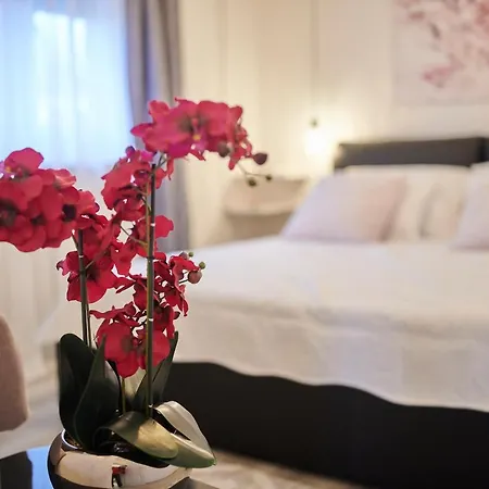 David With Hydromassage Bath Near *